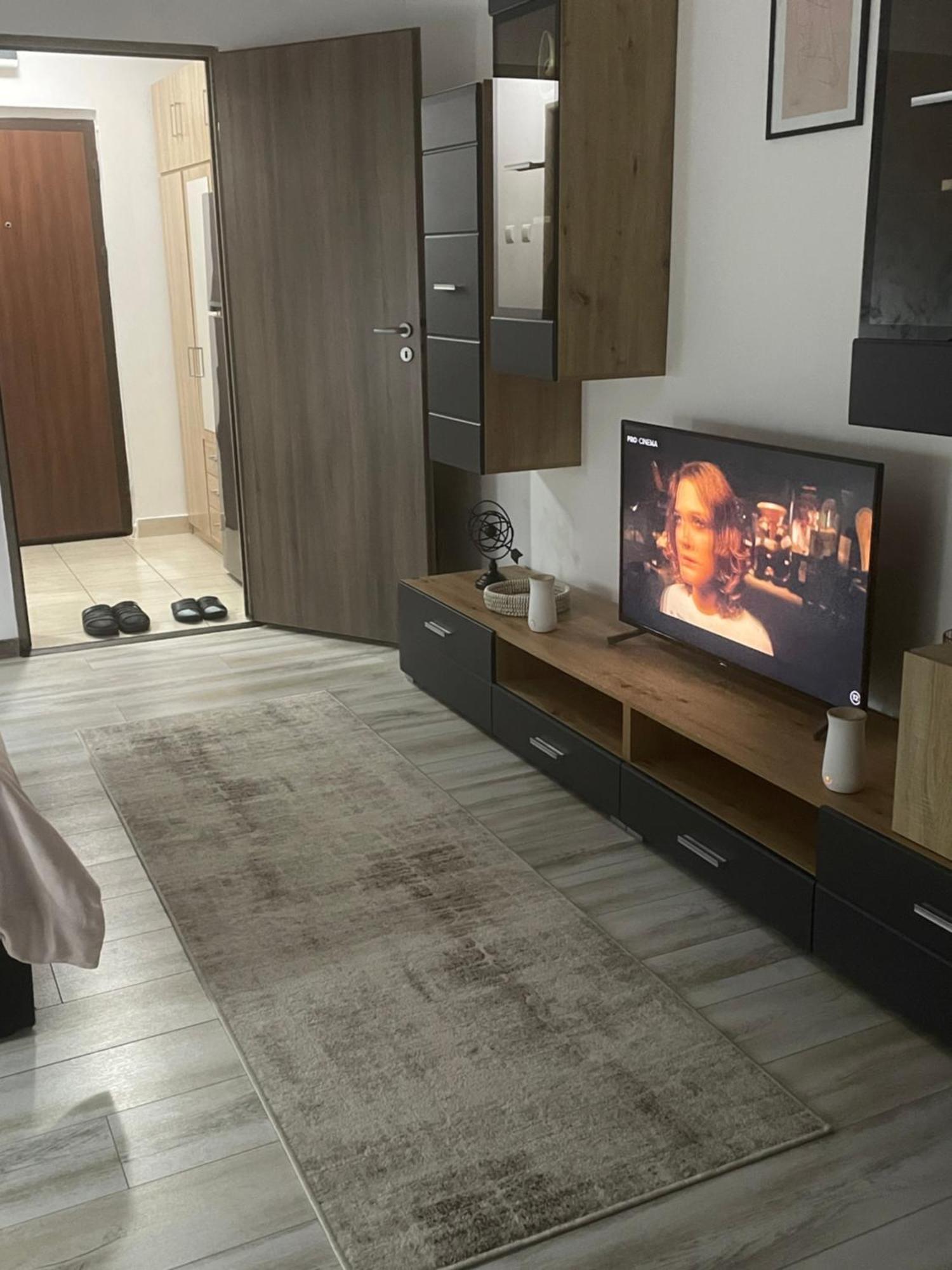 Central Studio Lcs Hunedoara Ngoại thất bức ảnh
